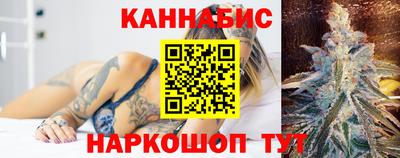 прущие крисы Будённовск