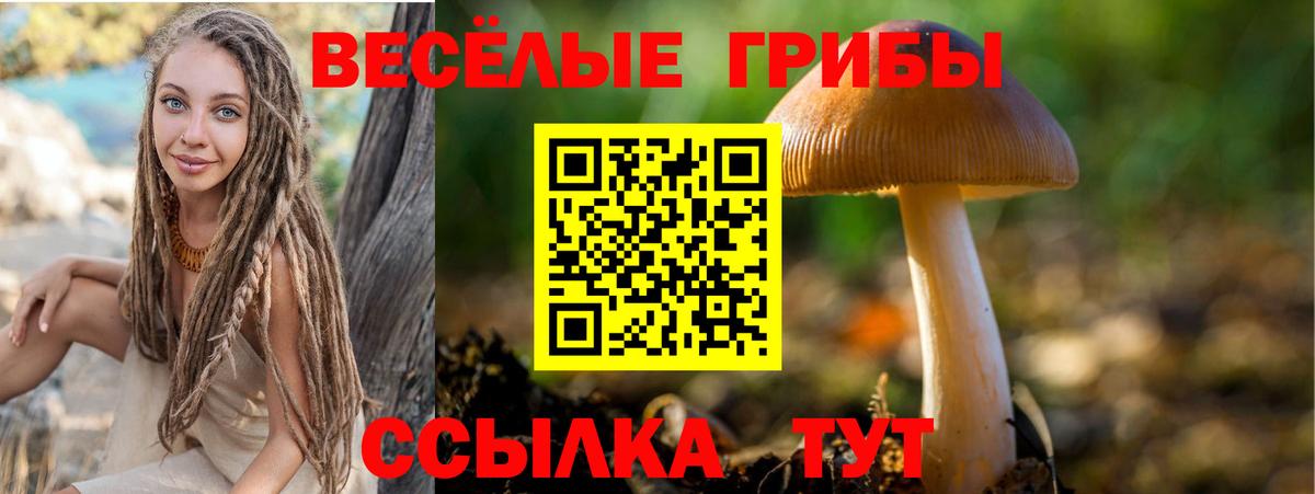 Псилоцибиновые грибы Magic Shrooms Лабытнанги